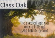 Class Oak